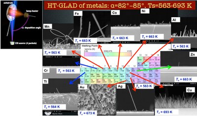 Fig4_HT-GLAD.jpg